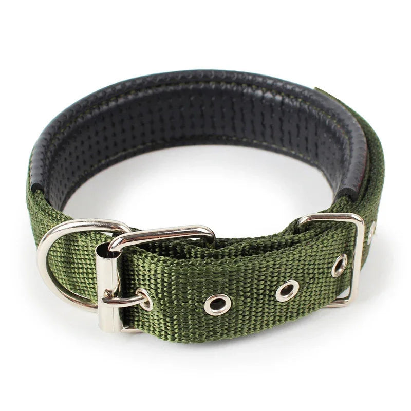 Premium Padded Nylon Dog Collar for Small, Medium & Large Dogs