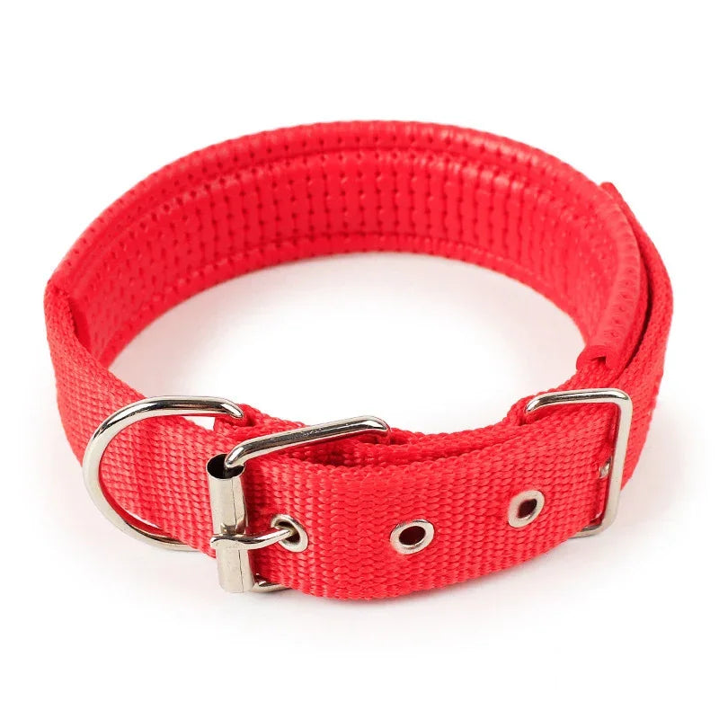 Premium Padded Nylon Dog Collar for Small, Medium & Large Dogs
