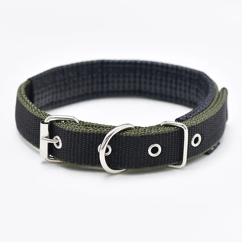 Premium Padded Nylon Dog Collar for Small, Medium & Large Dogs