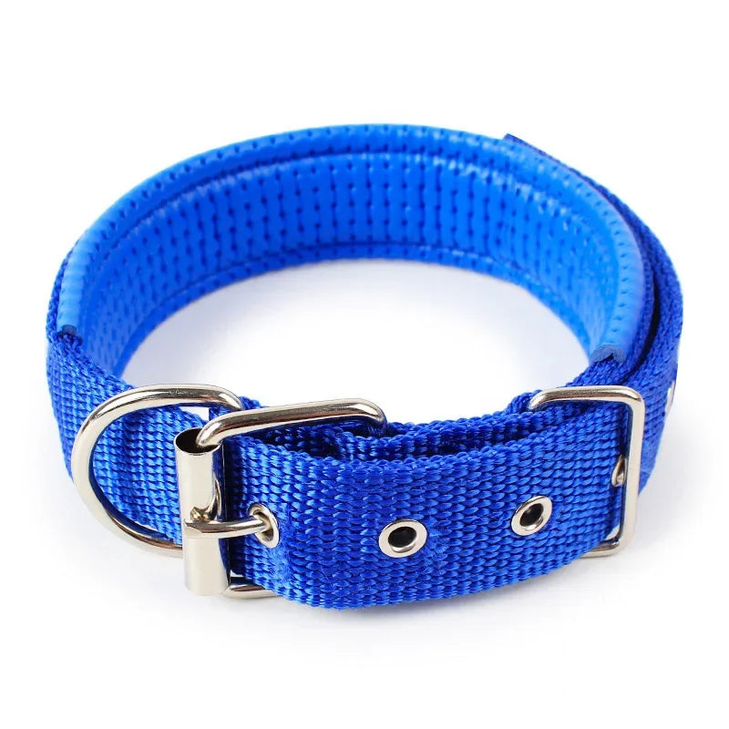 Premium Padded Nylon Dog Collar for Small, Medium & Large Dogs