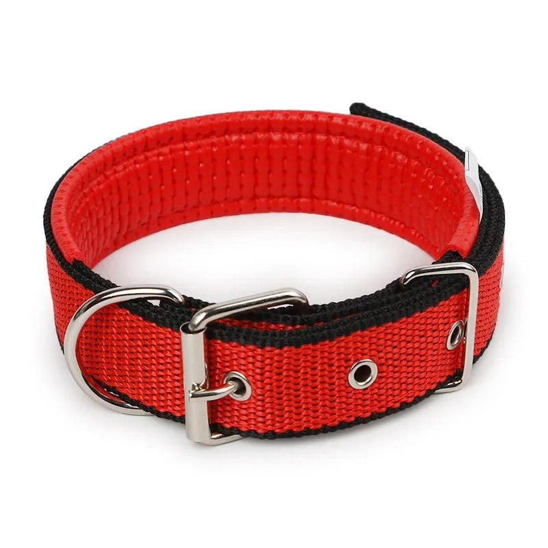 Premium Padded Nylon Dog Collar for Small, Medium & Large Dogs