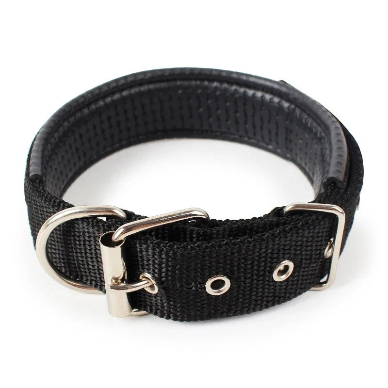 Premium Padded Nylon Dog Collar for Small, Medium & Large Dogs
