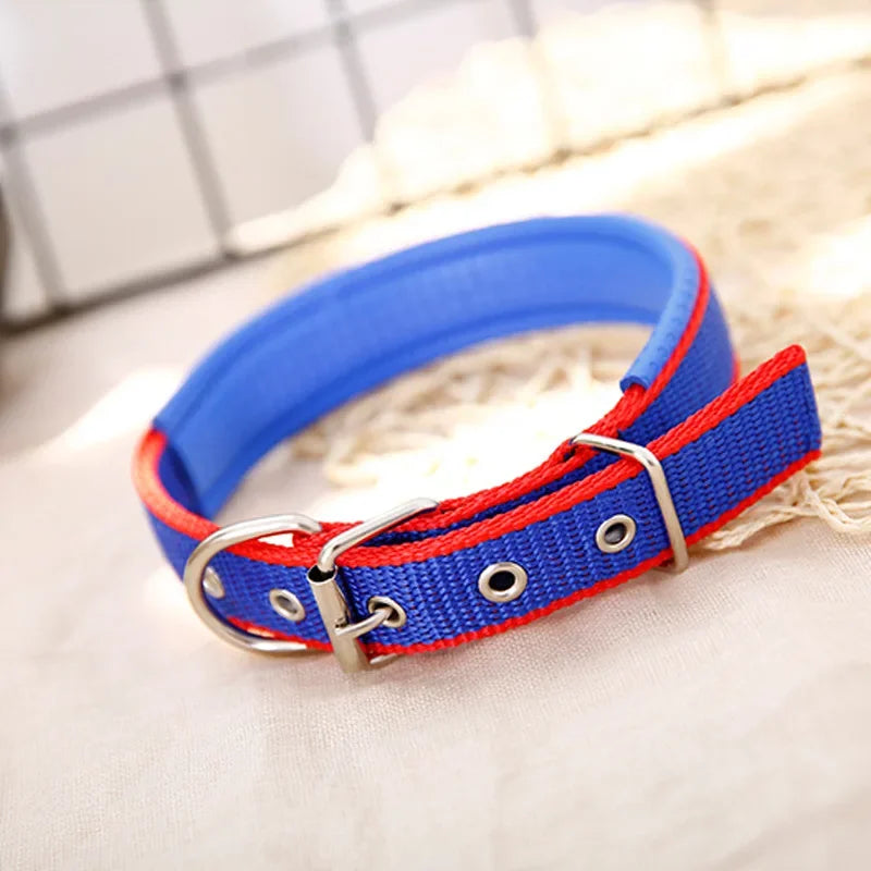 Premium Padded Nylon Dog Collar for Small, Medium & Large Dogs
