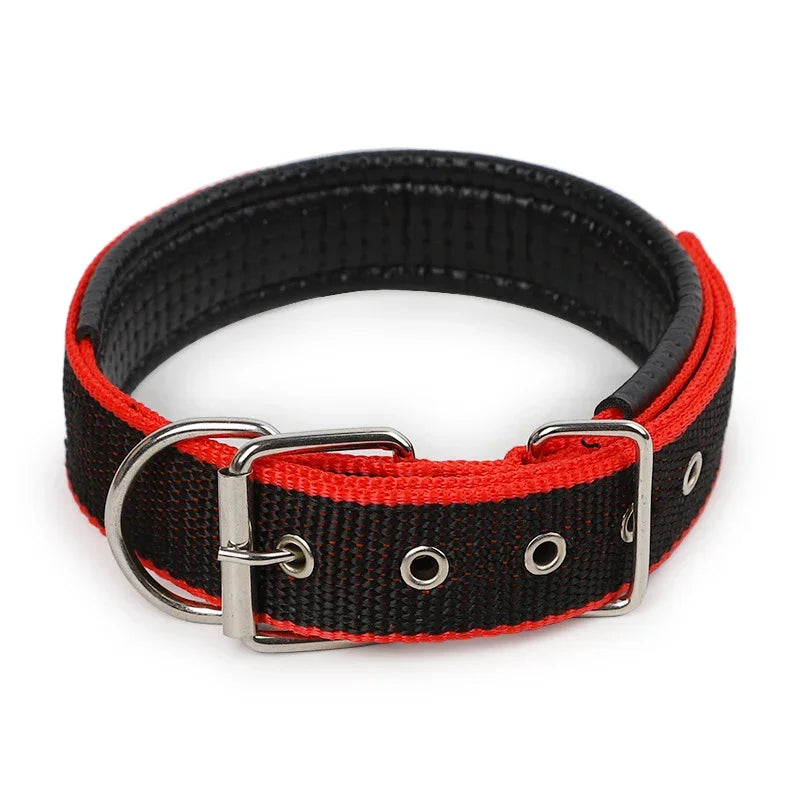 Premium Padded Nylon Dog Collar for Small, Medium & Large Dogs